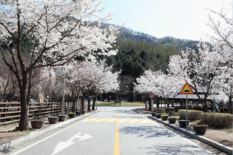 가평 '연인산 다목적캠핑장' 미리보기