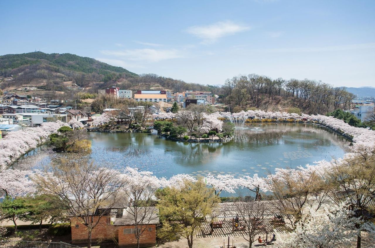 경상도 꽃구경