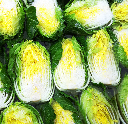 절임배추 만드는 법