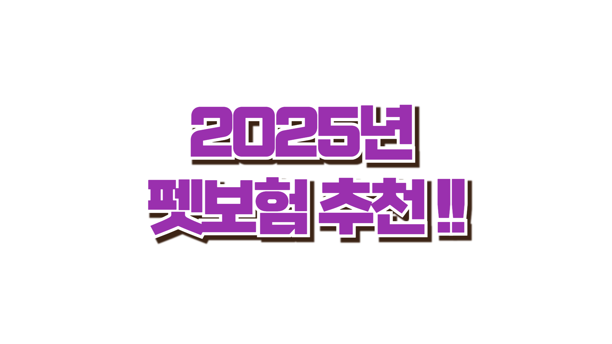 2025년 펫보험 추천 TOP 정리 사진