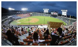 인터파크&middot;티켓링크 통해 보는 2025 KBO 올스타전 예매 일정 한눈에 보기