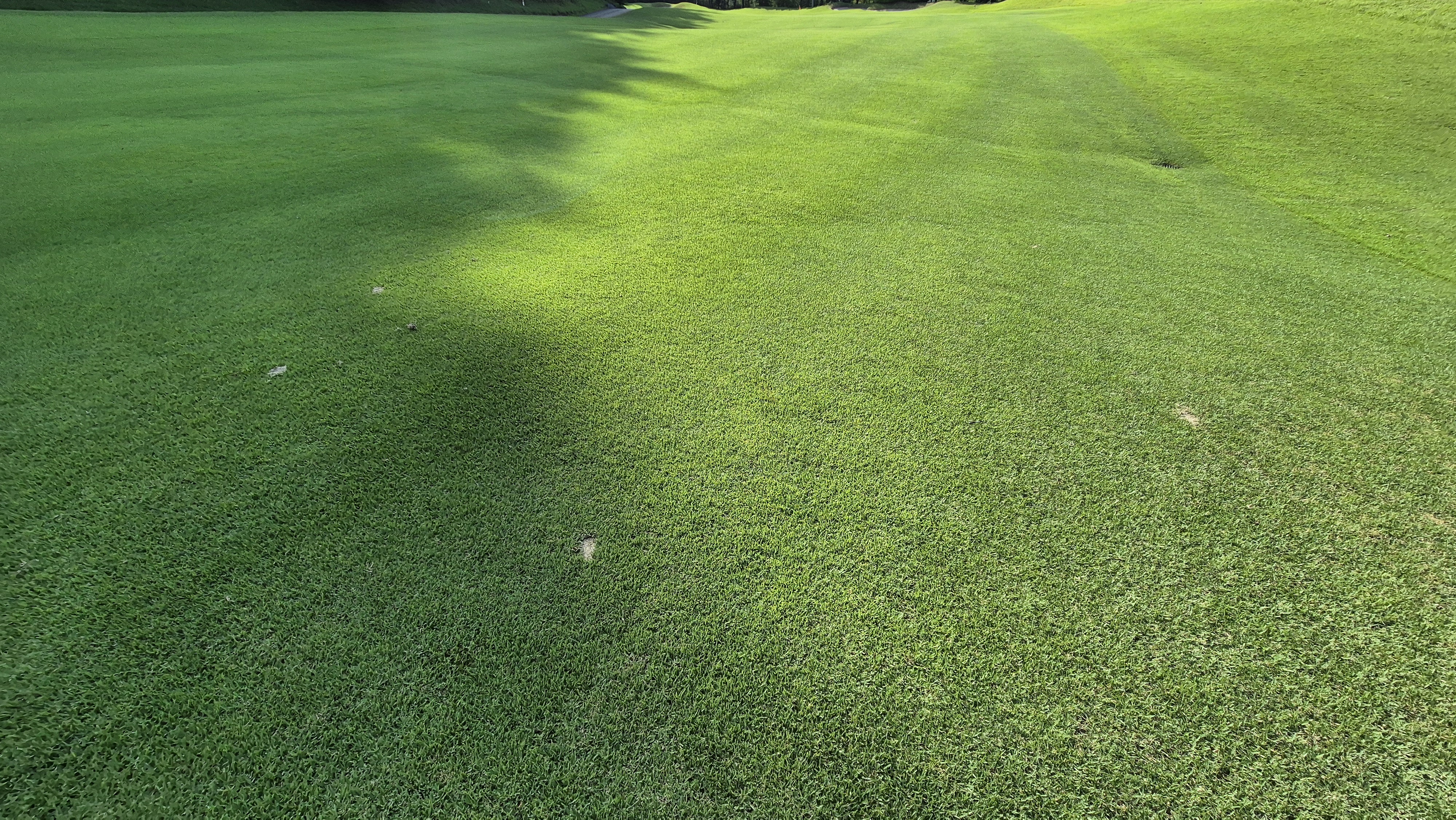 골프존카운티 화랑 라운드 후기