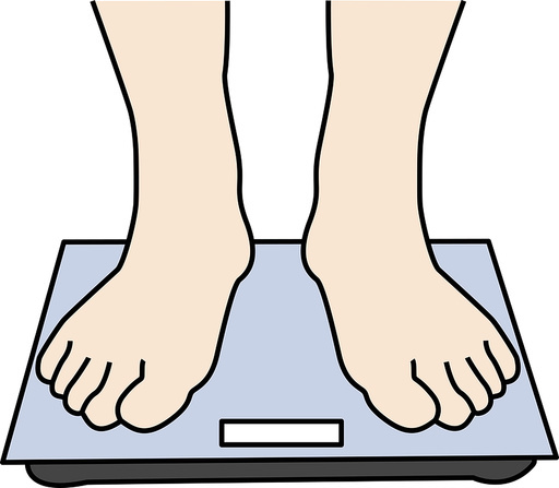 술과 체중 증가의 관계