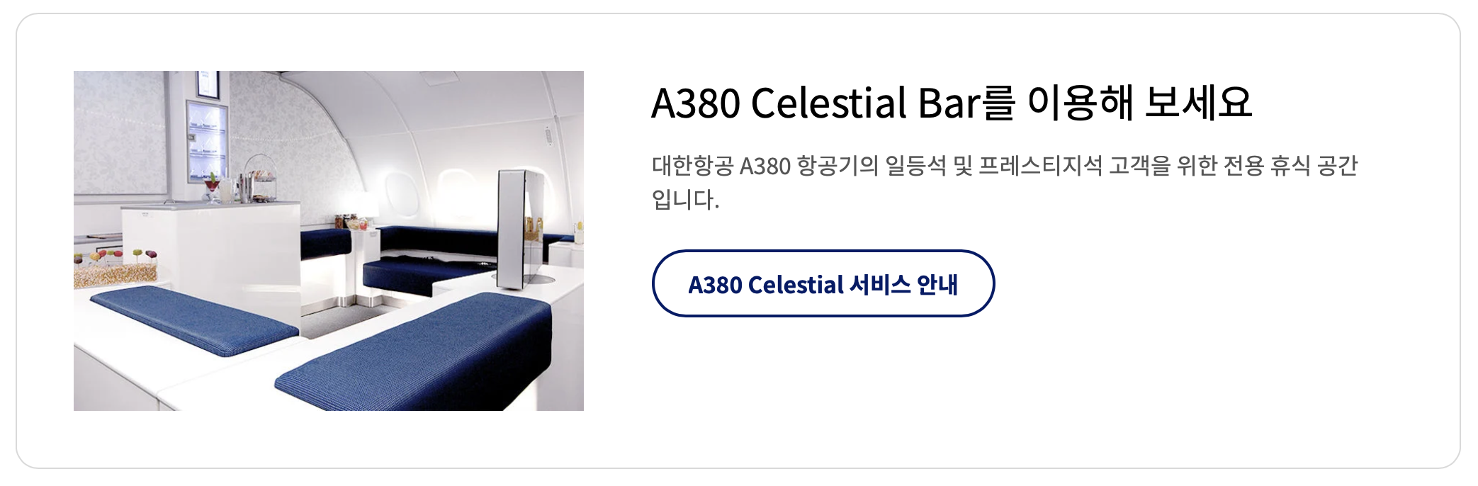 대한항공서비스