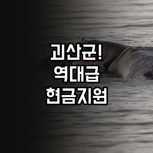 괴산군 결혼 및 출산 장려금 지원 대..