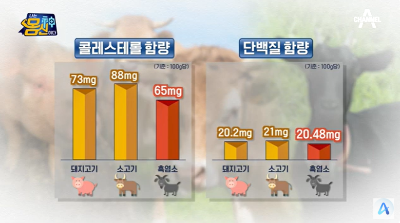 흑염소 효능 부작용 효과적인 복용법