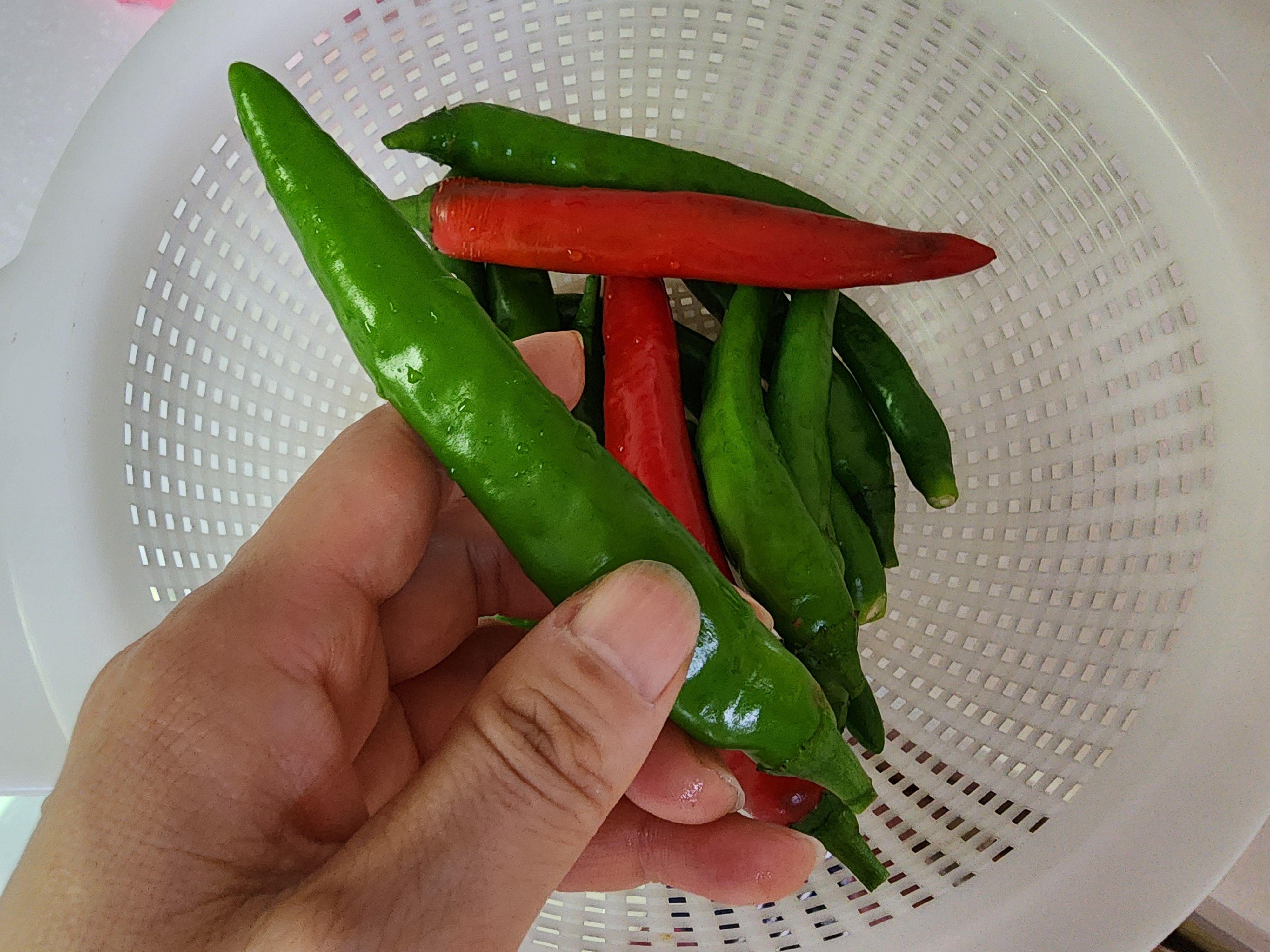 고추장아찌 담그는법&amp;#44; 1년동안 무르지 않게 담그는 비법