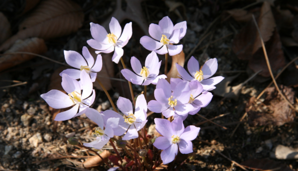 신구대학교 수목원