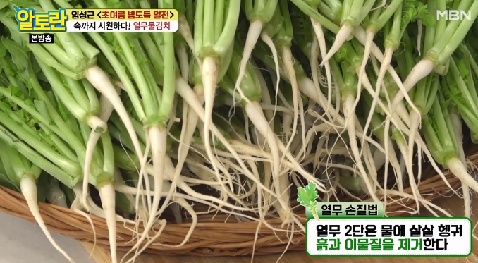 열무 손질
