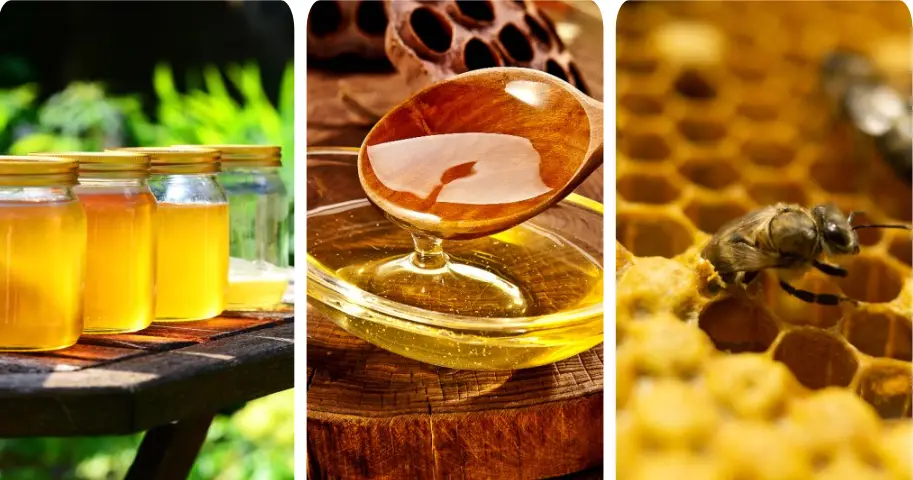 강력한 항산화 효과 – 노화 방지 & 피부 보호