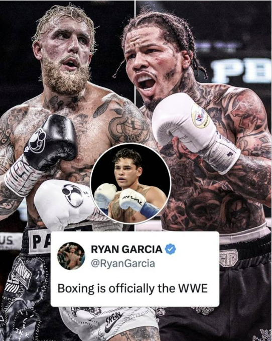 제이크폴 저본타 중계 UFC 경기 11월 14일