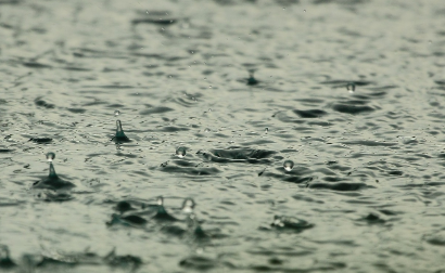 김춘수 강우 관련 이미지