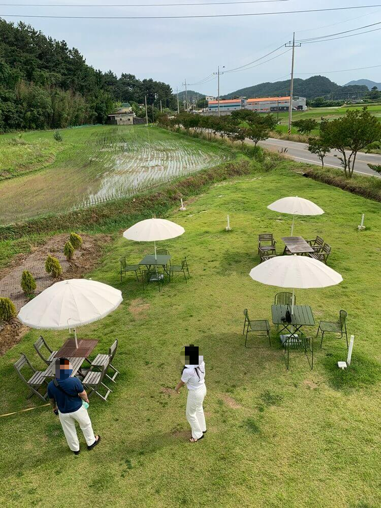 옥상에서 바라본 외부 파라솔 자리