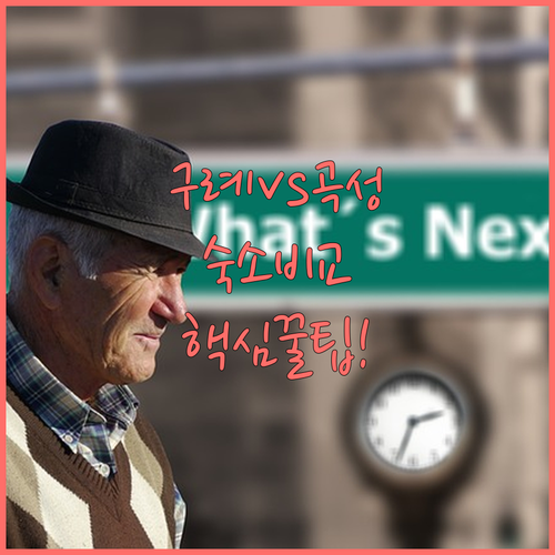 구례 펜션 곡성 펜션 가족여행 커플여..