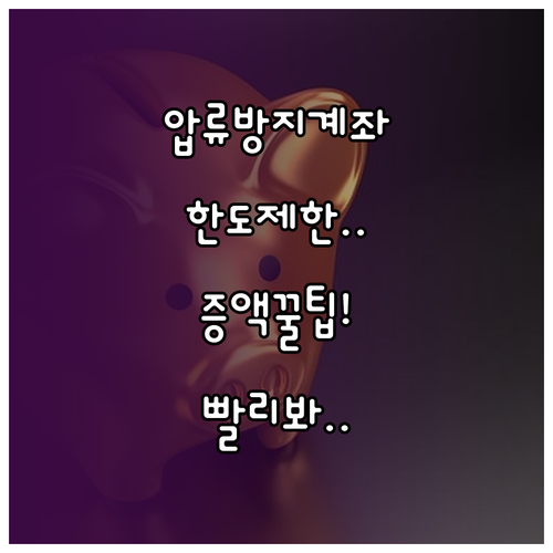압류 방지 전용 계좌 한도 제한 사유..