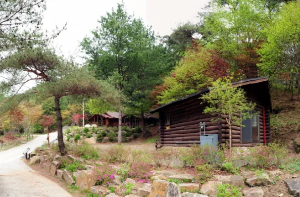 자연휴양림 BEST 5 2023년 신축