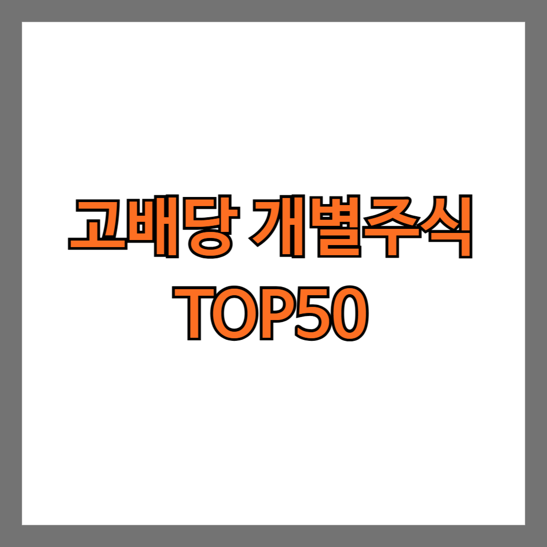 2025년 6월 개별주식 고배당률 순위 TOP 50