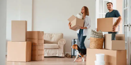 주민등록 미 신고 과태료와 미 신고로 인한 불이익