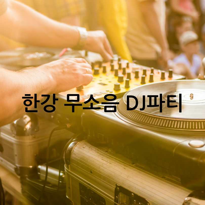 한강 무소음 DJ파티