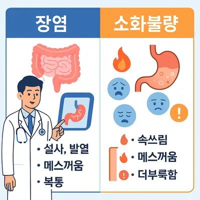 장염 소화불량 차이점: 증상 구분법, 원인 비교, 치료 방법