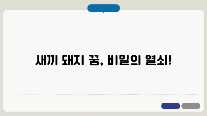 새끼 돼지 꿈 해몽