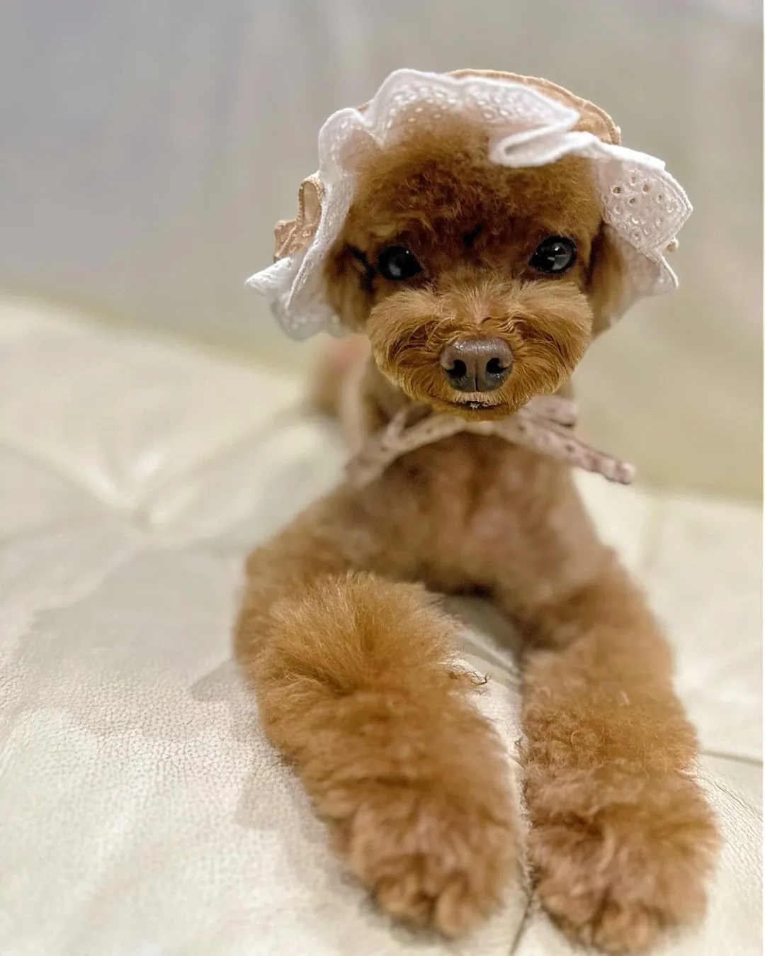 윤세아_인스타그램_이미지