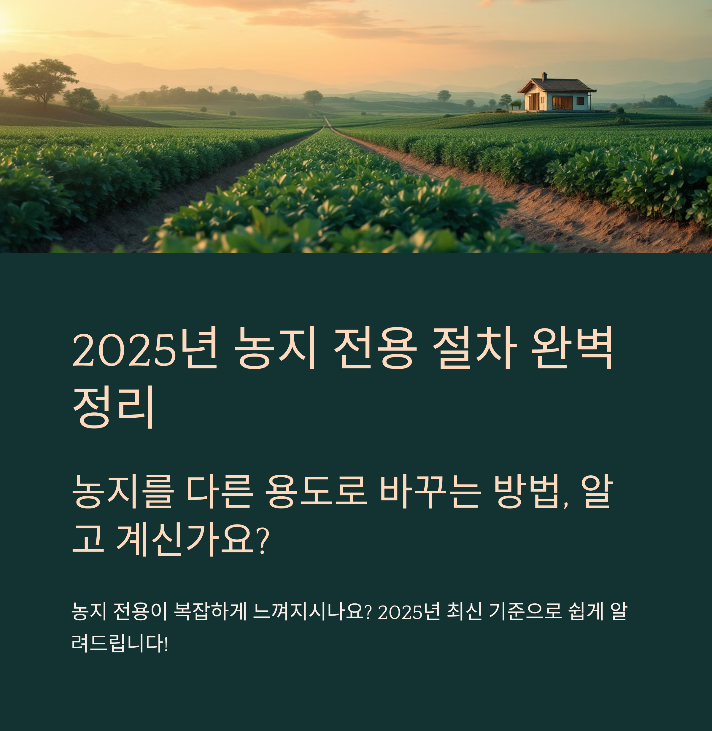 2025년 농지 전용 절차 완벽 정리