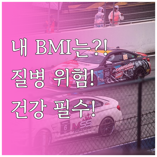 BMI 체질량지수 정확한 측정 공식과..