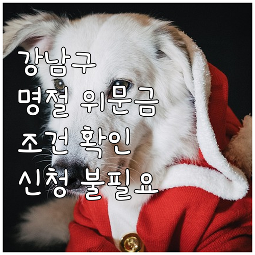 신청 불필요 2025 강남구 저소득층..