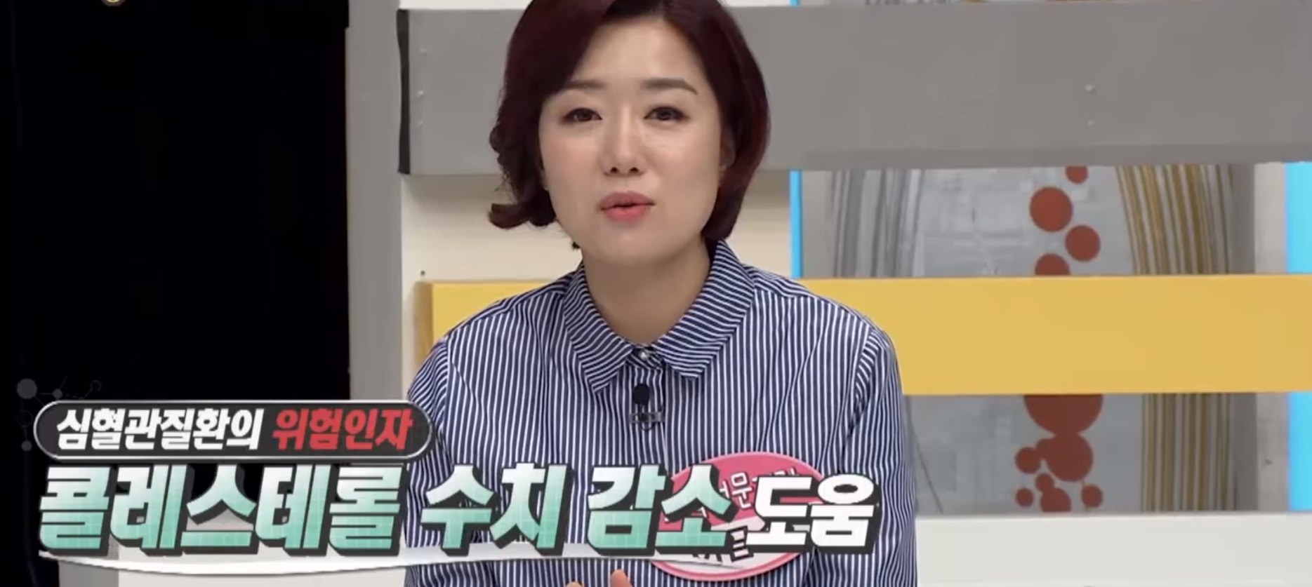 차전자피 효능