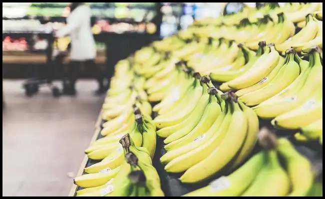 2024 ์ฝ๋ฆฌ์ ์ธ์ผ ํ์คํ ๊ธฐ๊ฐ ํ๋ชฉ ์ด์ ๋ฆฌ (์์ง ์ผ์ฑ ์ ์, ๊ธฐ์ ํ๋ ์๋์ฐจ ๋ฑ)