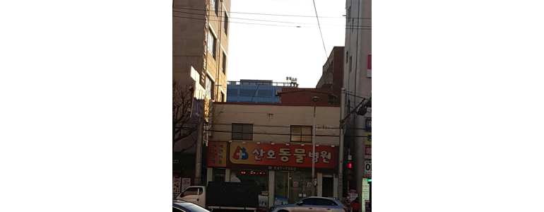 창원 마산합포구 동물병원