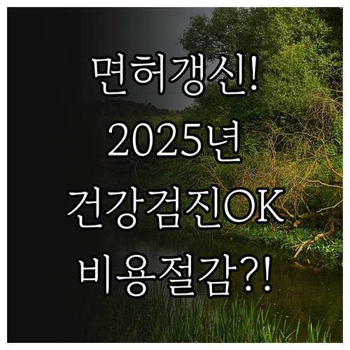 1종 보통 면허 갱신 2025년 건강..