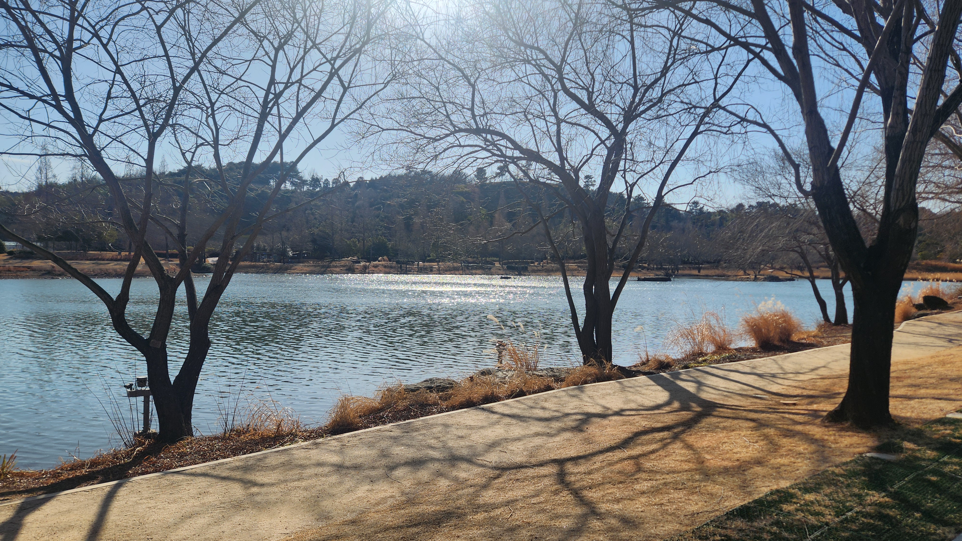 순천만 국가정원 사진 5