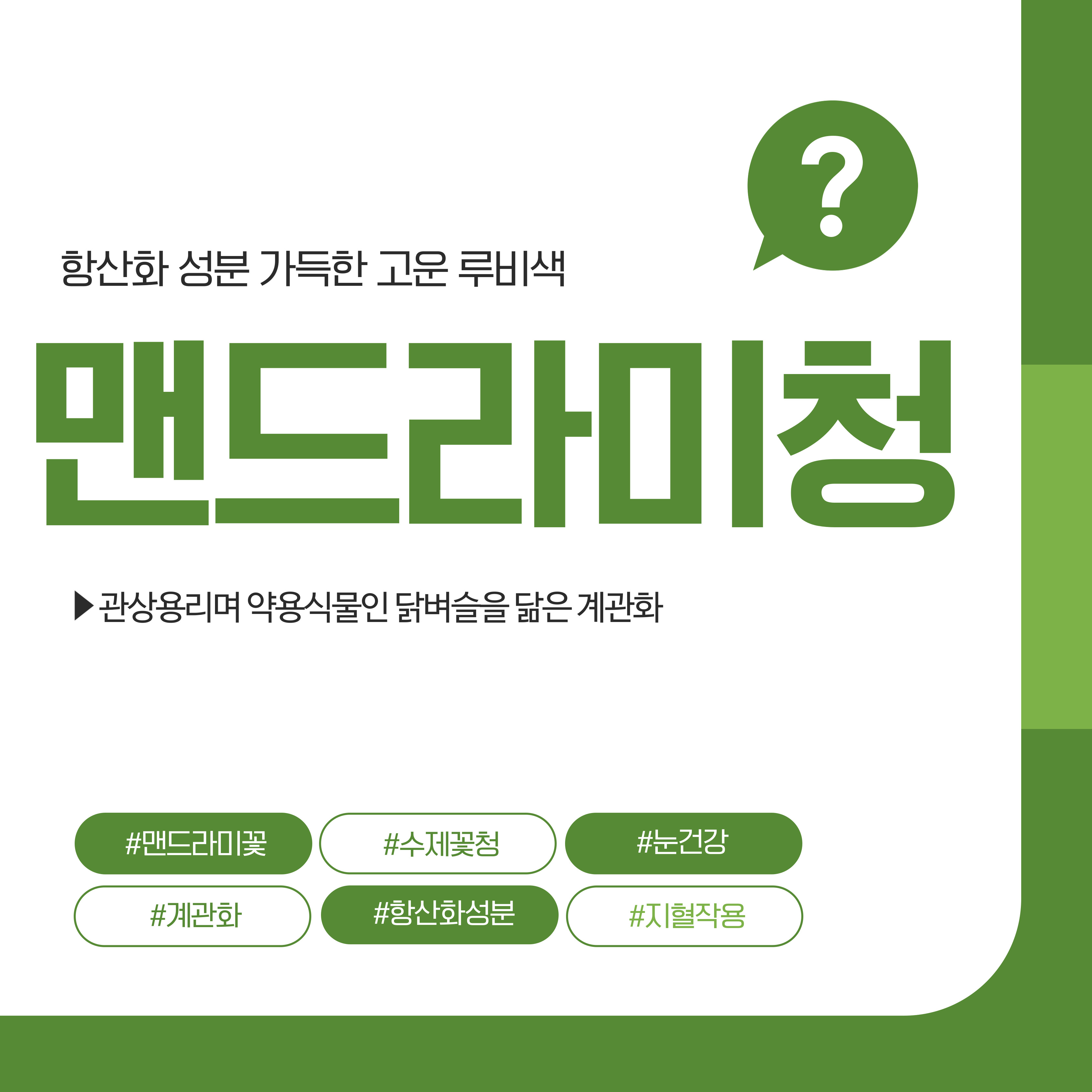 항산화성분의 맨드라미청