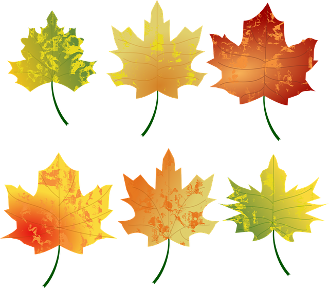 가족 여행 추천지