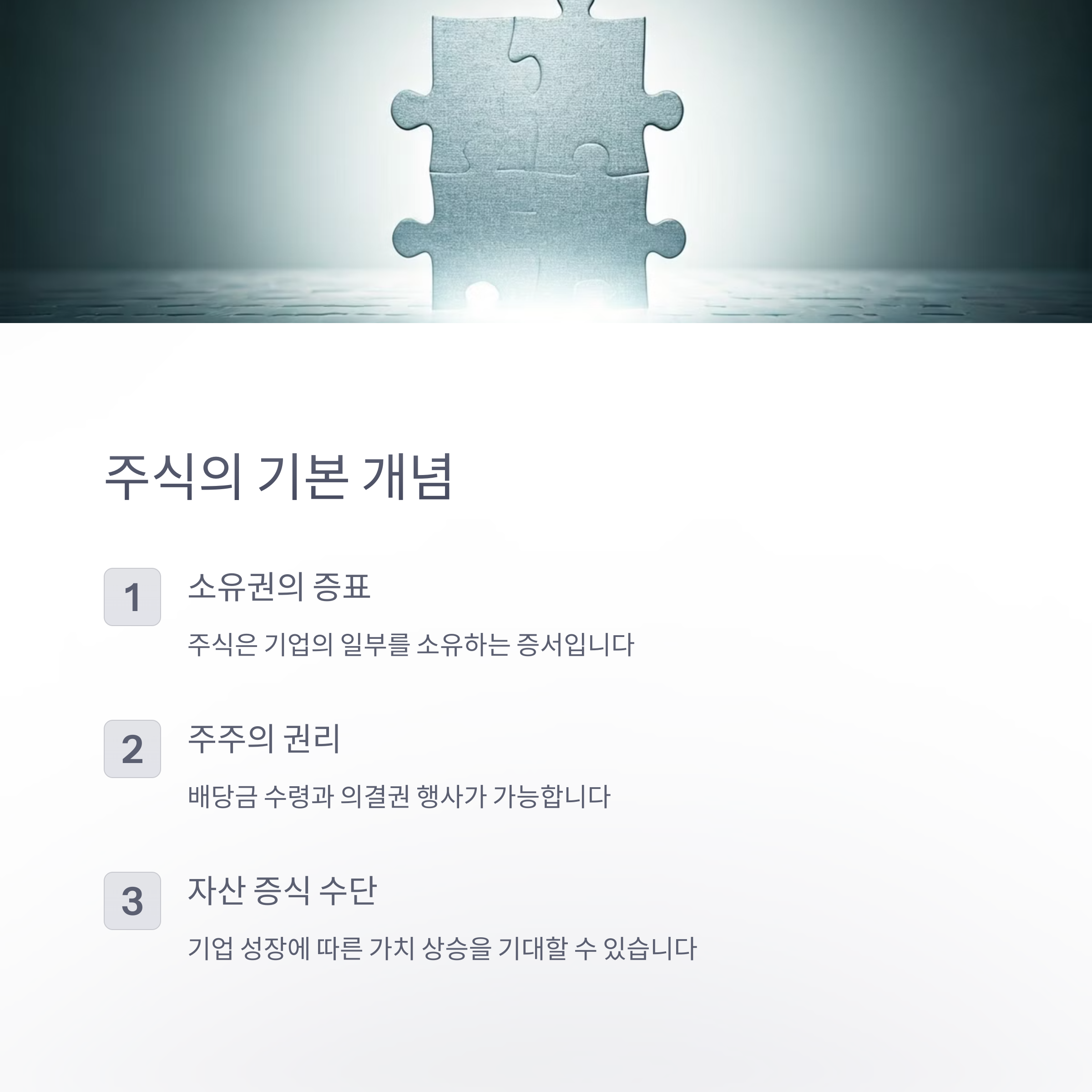 주식의개념