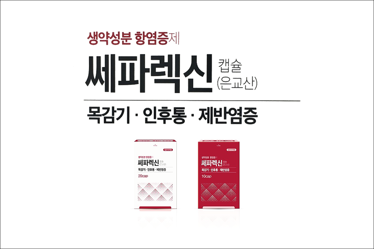 쎄파렉신 캡슐