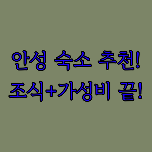 직접 가본 안성 숙소 추천 리스트 조..