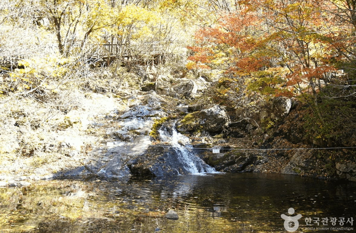 국립 복주산 자연휴양림