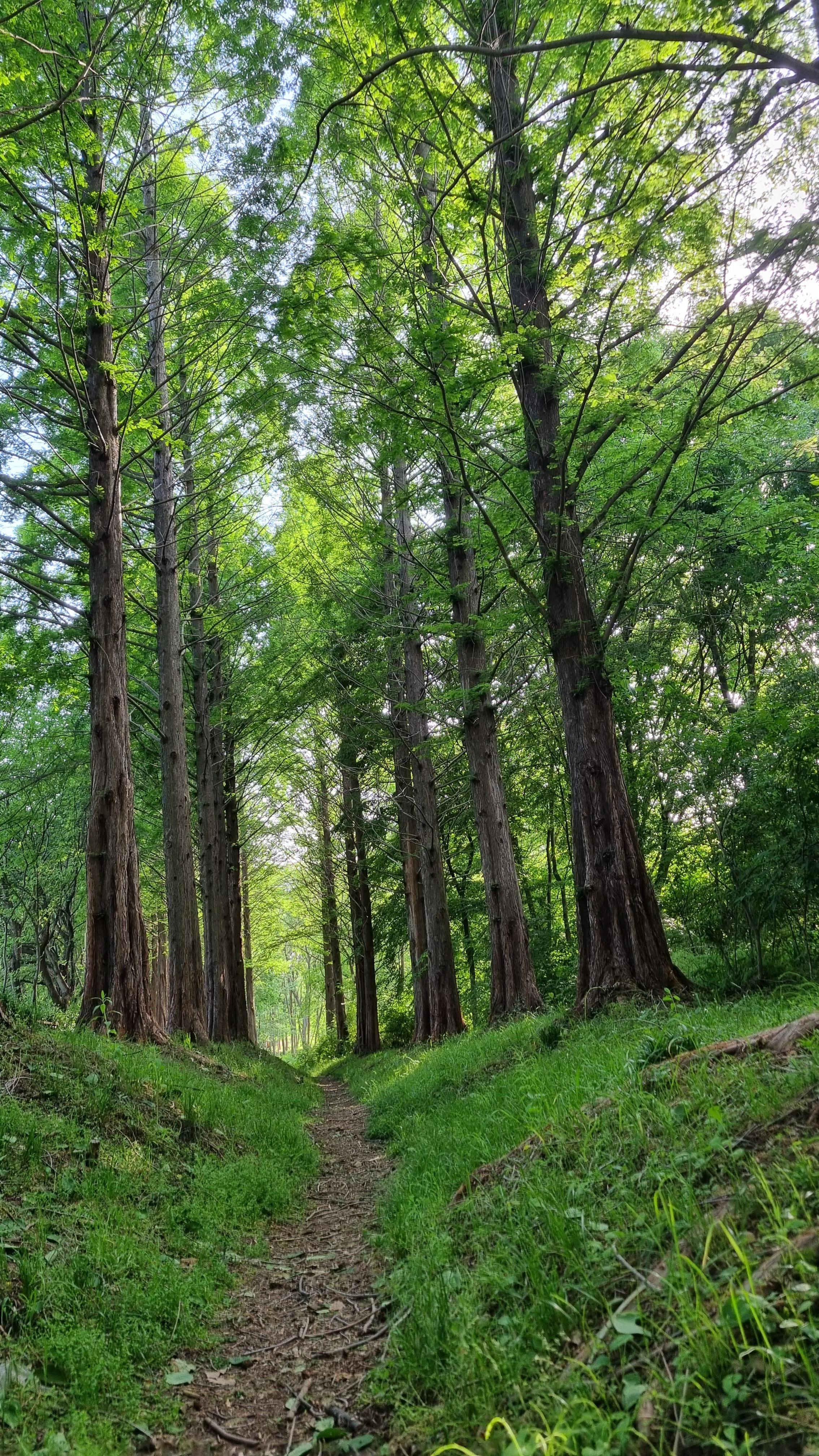 인천대공원 걷기