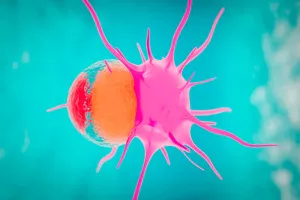 유방-초음파-검사비용