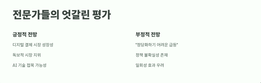 카카오페이 주가 급등 현상 완벽 분석 13