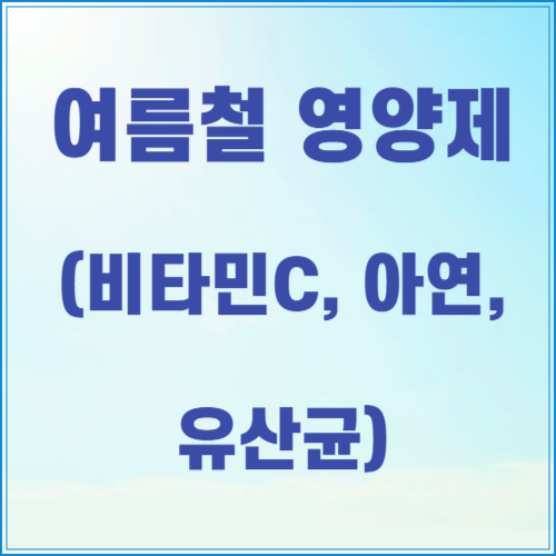 여름철 영양제 (비타민C, 아연, 유산균)