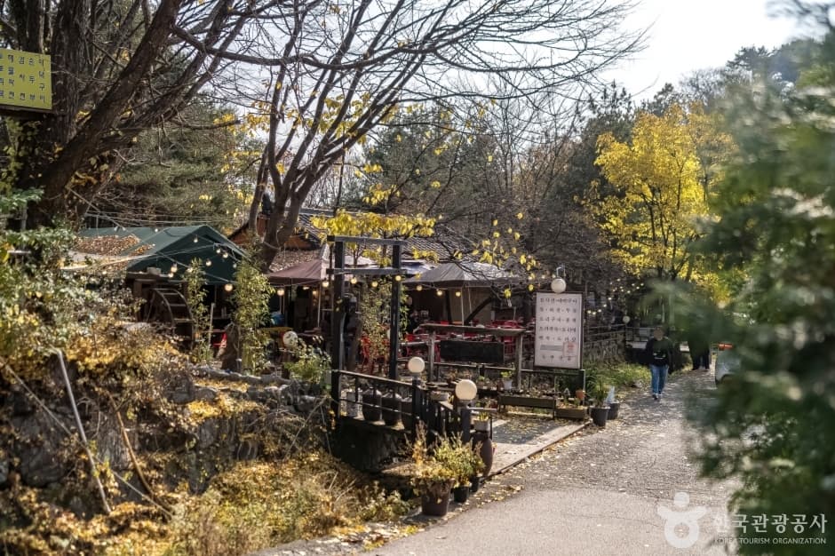 서울 근교 봄 여행지 추천 ❘당일치기로 다녀오기 좋은 힐링 명소 5선