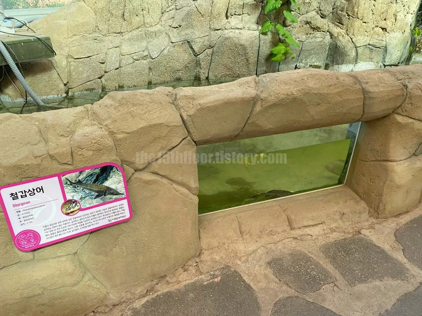 경남 의령 &amp;#39;의령 곤충생태학습관&amp;#39; (1층&amp;#44; &amp;#39;생태 유리온실&amp;#39;)