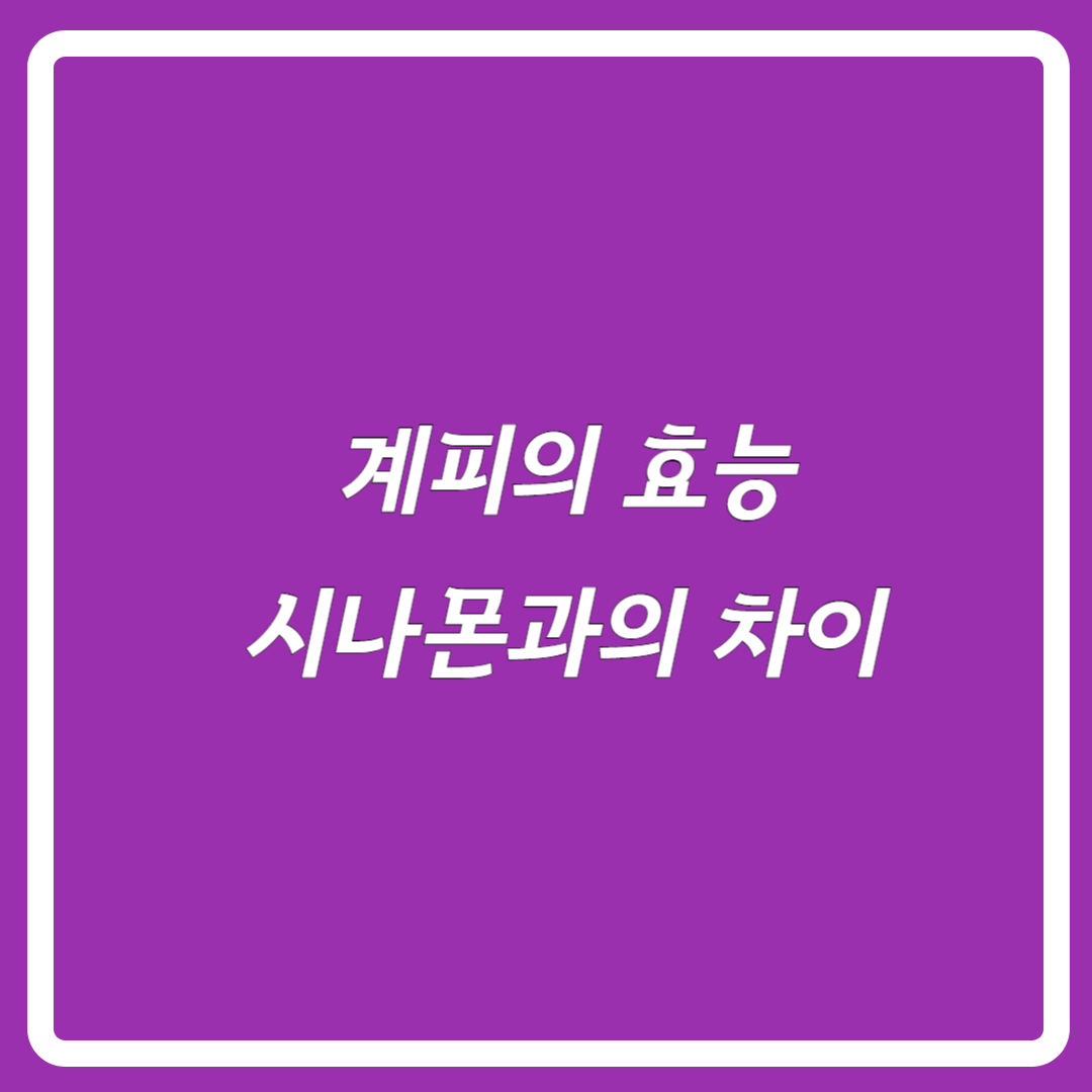 계피의효능