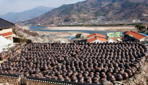 광양 매화마을