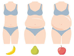 체지방률 정상범위