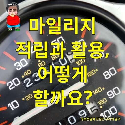 서울시 승용차 마일리지